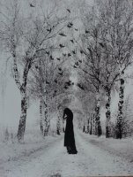 Olga Stráníková - experimentální fotografie