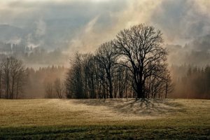 Dana Ludvíčková „Tady a teď“